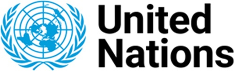 The image features the emblem of the United Nations.