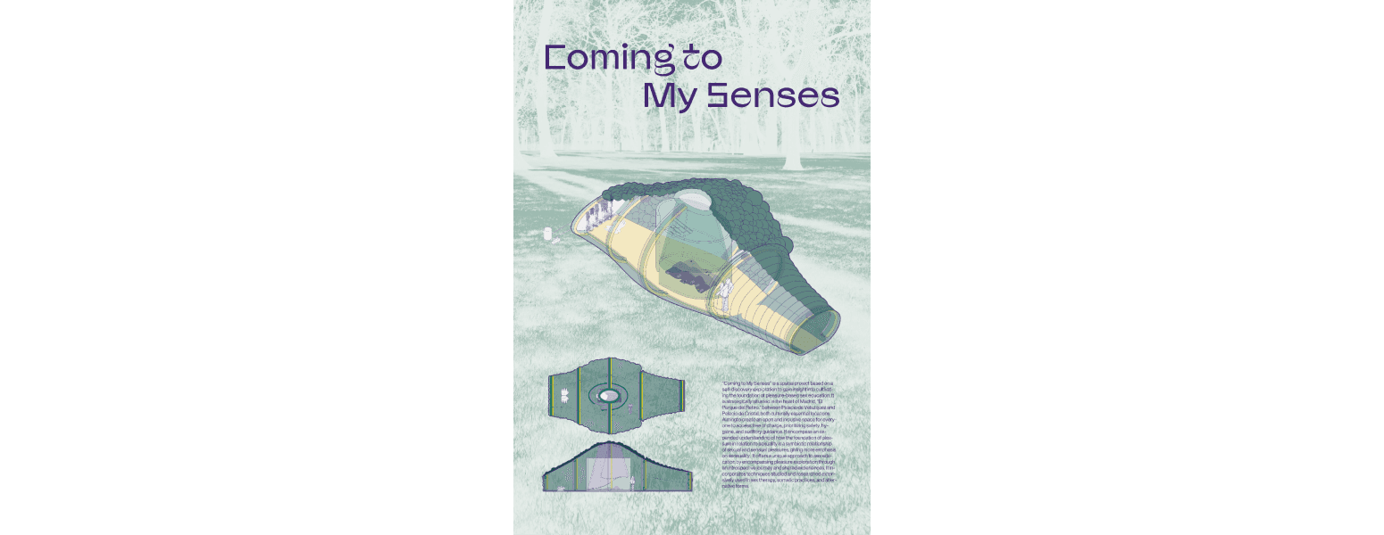 Coming to My Senses | IE
