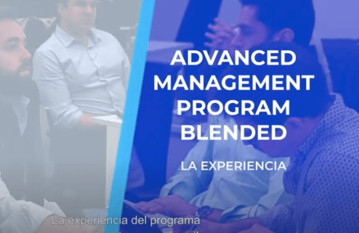 La experiencia - AMP Blended | IE