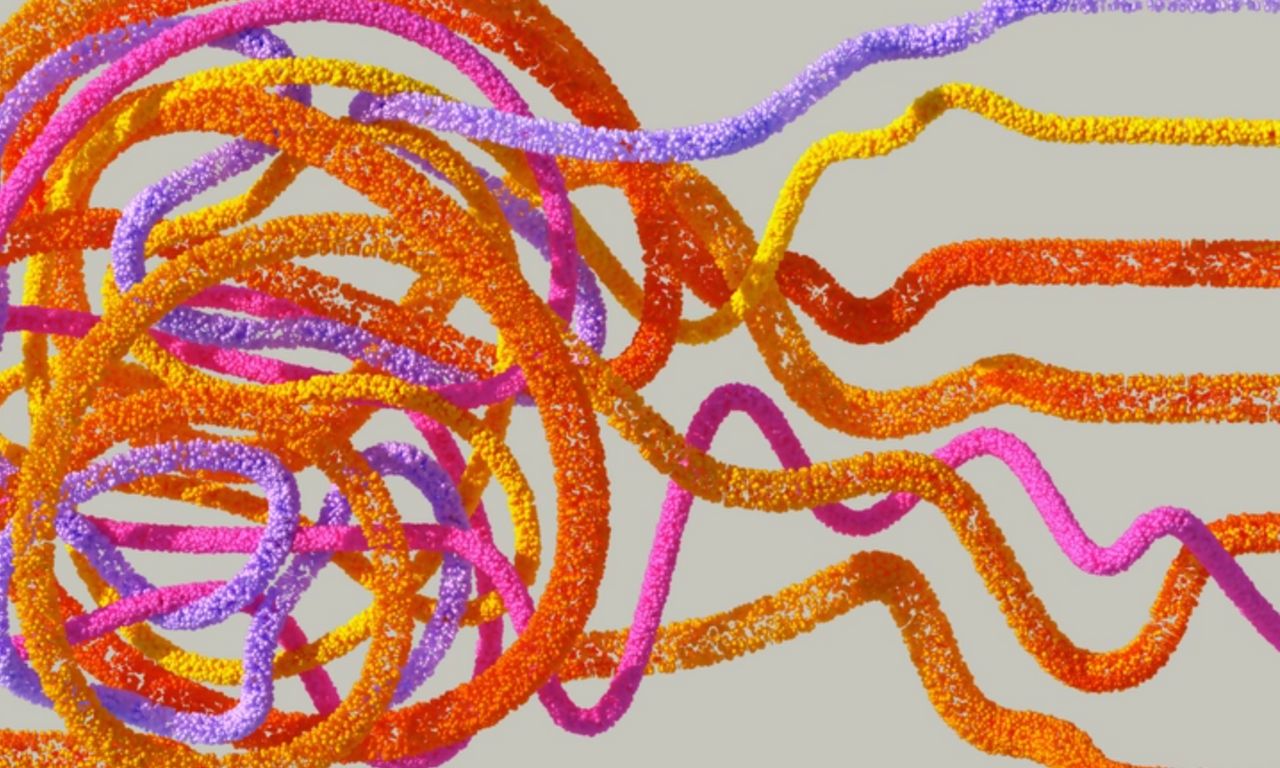 Neuroscience of Safety: How Polyvagal Theory Reshapes Well-Being