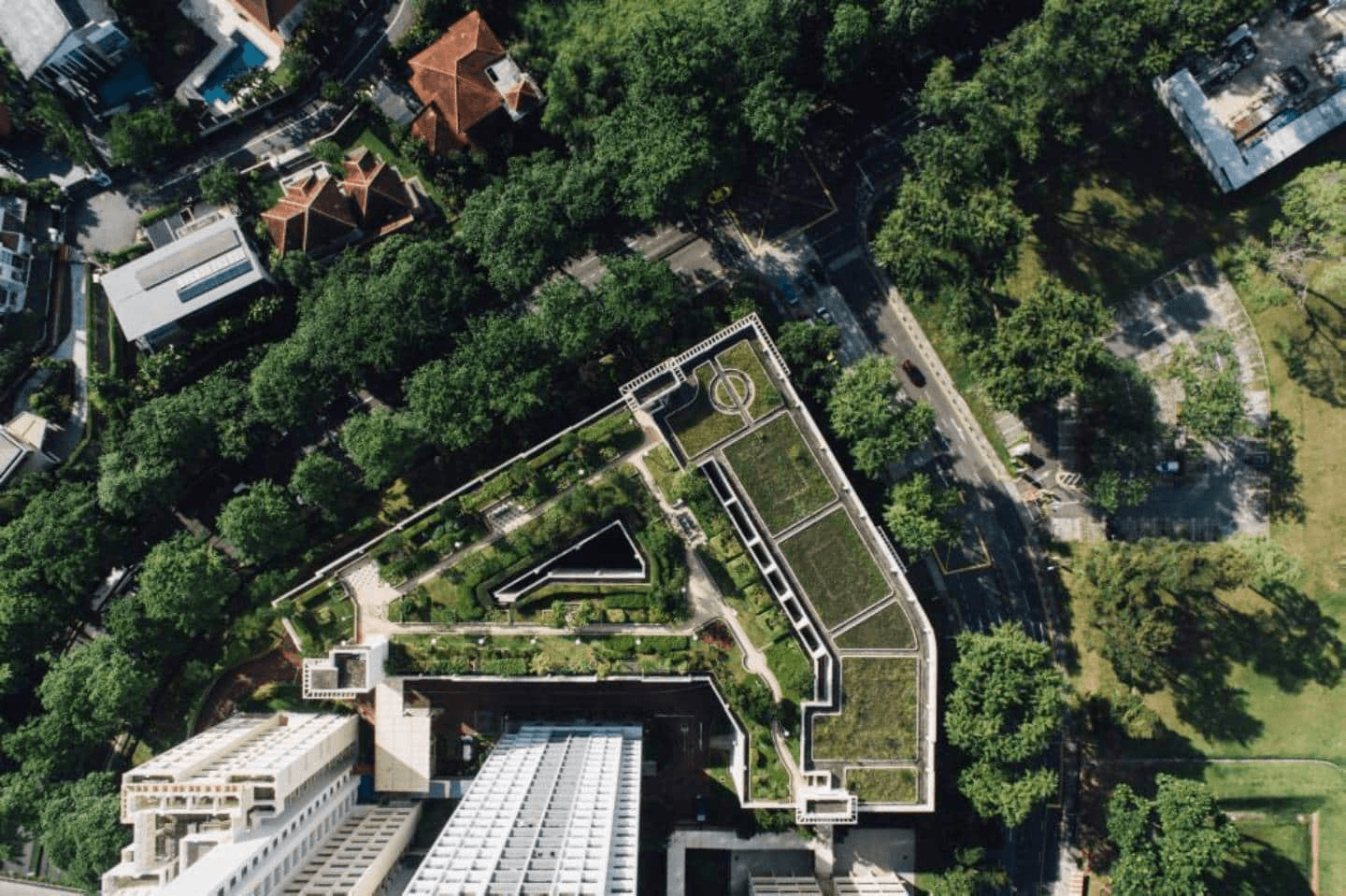 Image of intensive green garden roofs which serve as inspiration for implementation in Segovia (Dementievgeopard, 2023)
