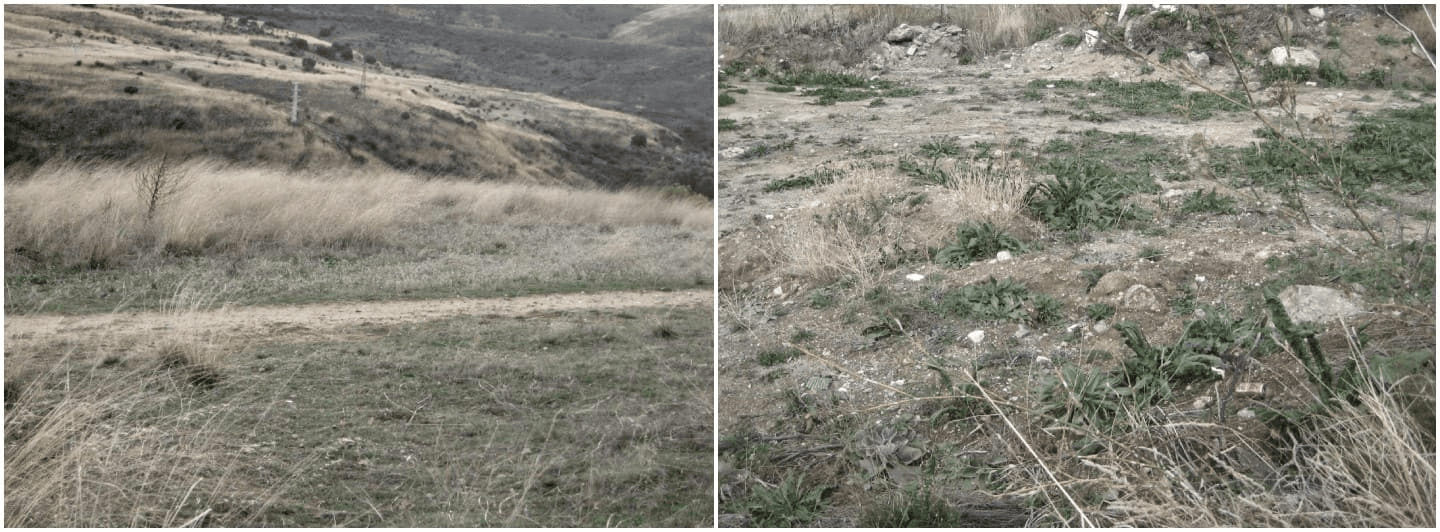 Digital Camera Images of Proposed Site for The Green Project.