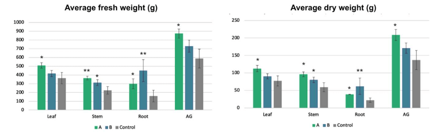 Biomass Accumulation in Transgenic Trees Versus Control Trees