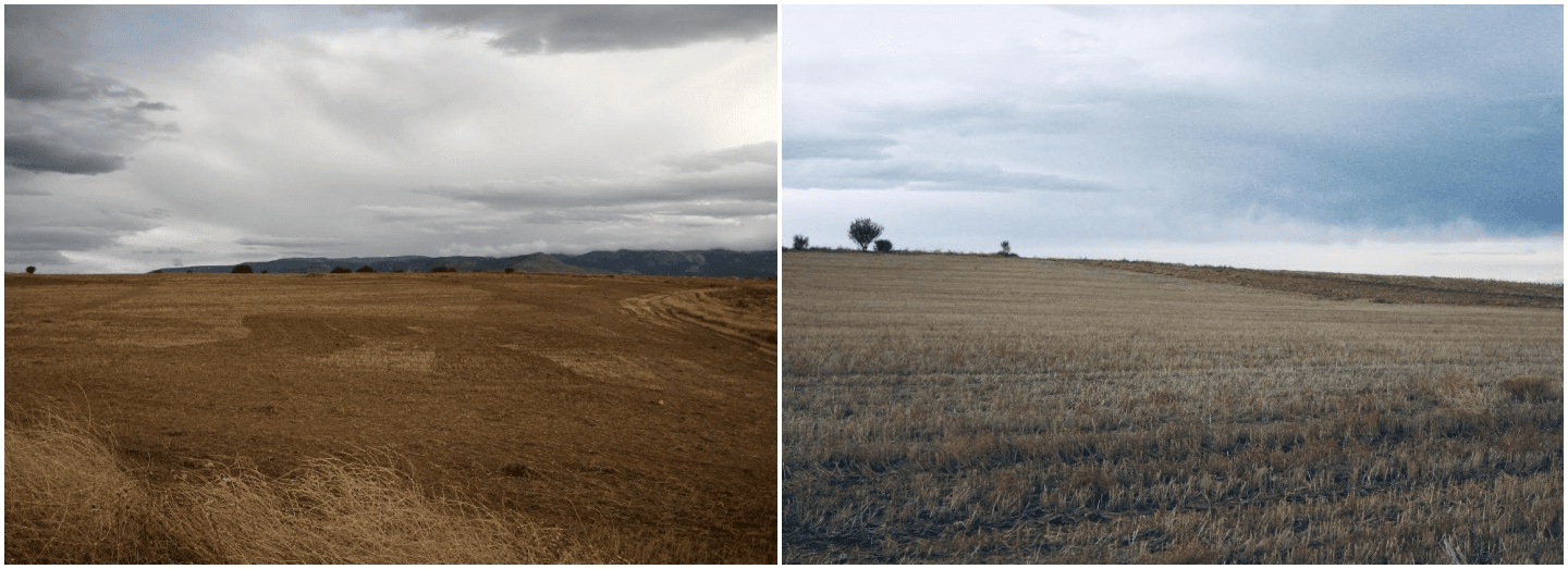 Digital Camera Images of Proposed Site for The Green Project.
