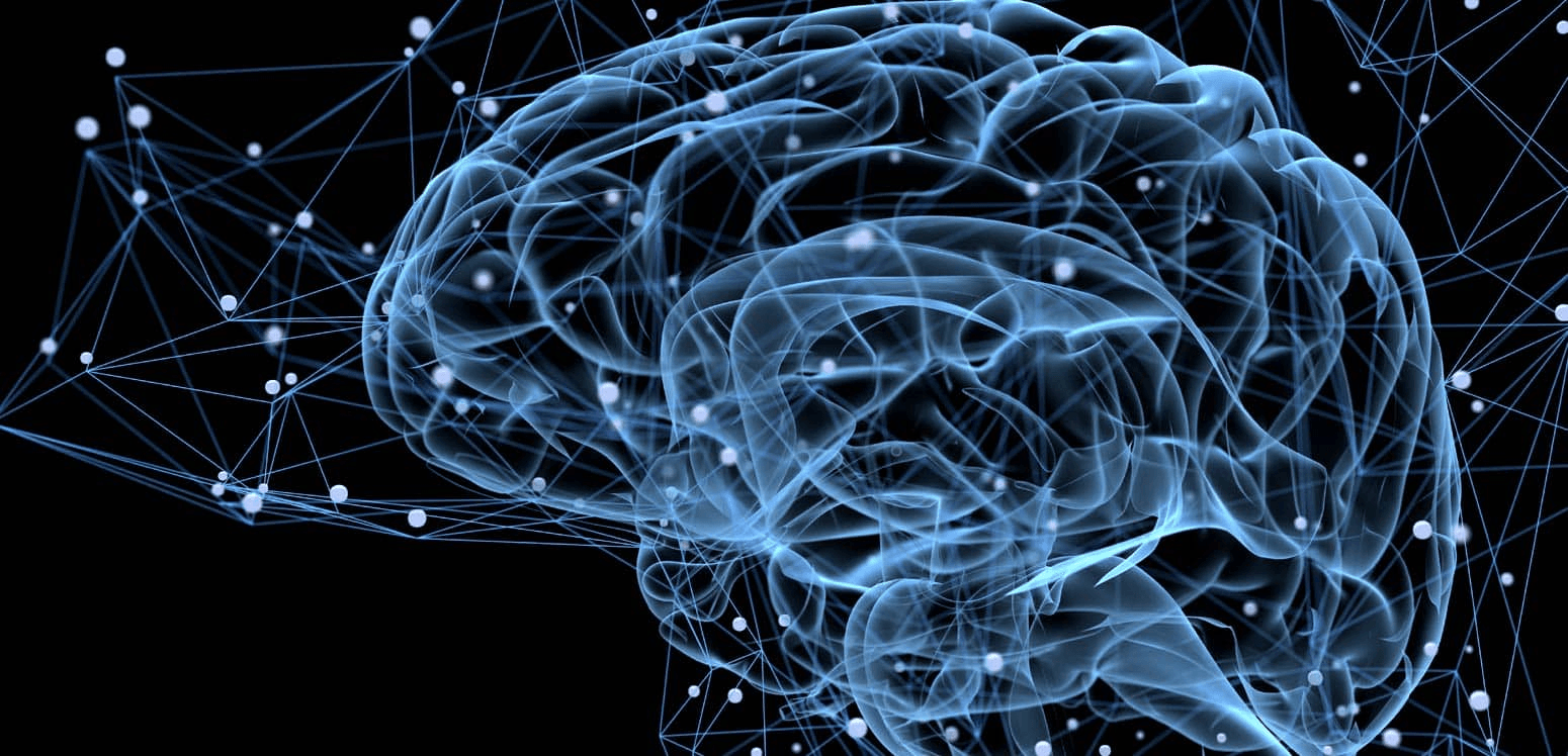 Human brain | IE University