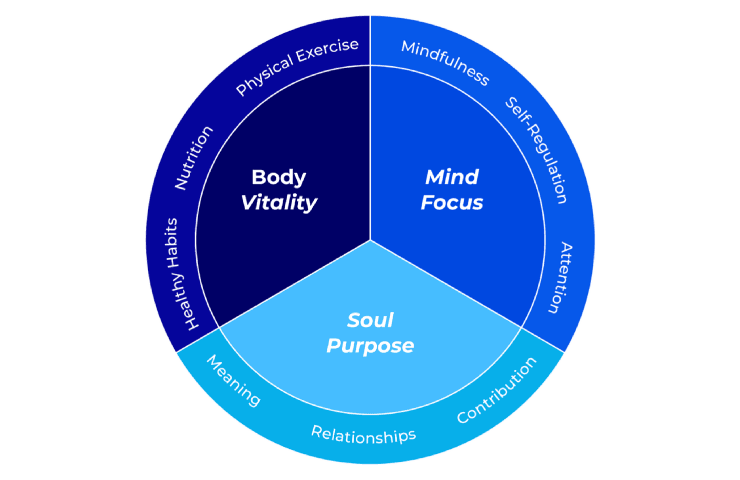 Awareness of interconnection of Body, Mind and Soul in support of Well-being