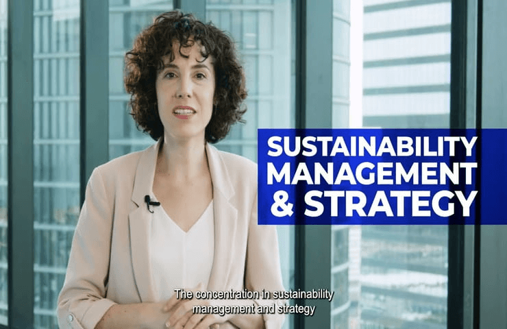 Sustainability Management and Strategy