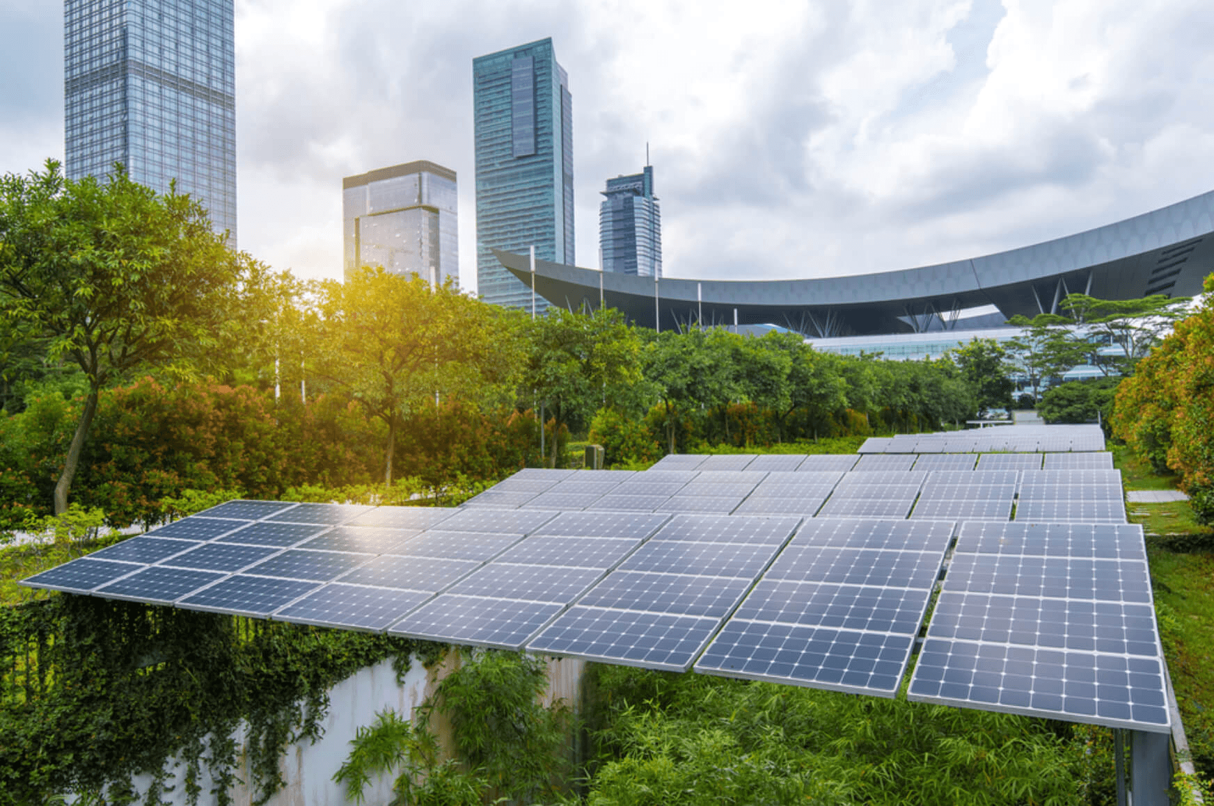 IE FOUNDATIONS OF SUSTAINABILITY CERTIFICATE