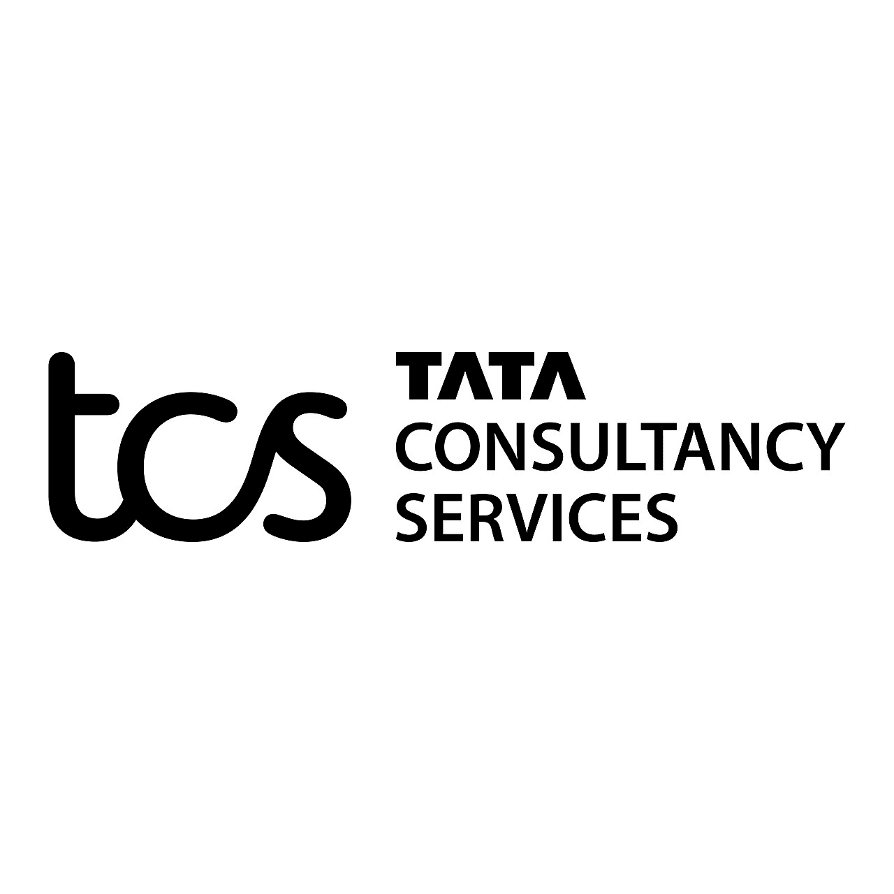 This image represents the logo of Tata Consultancy Services.